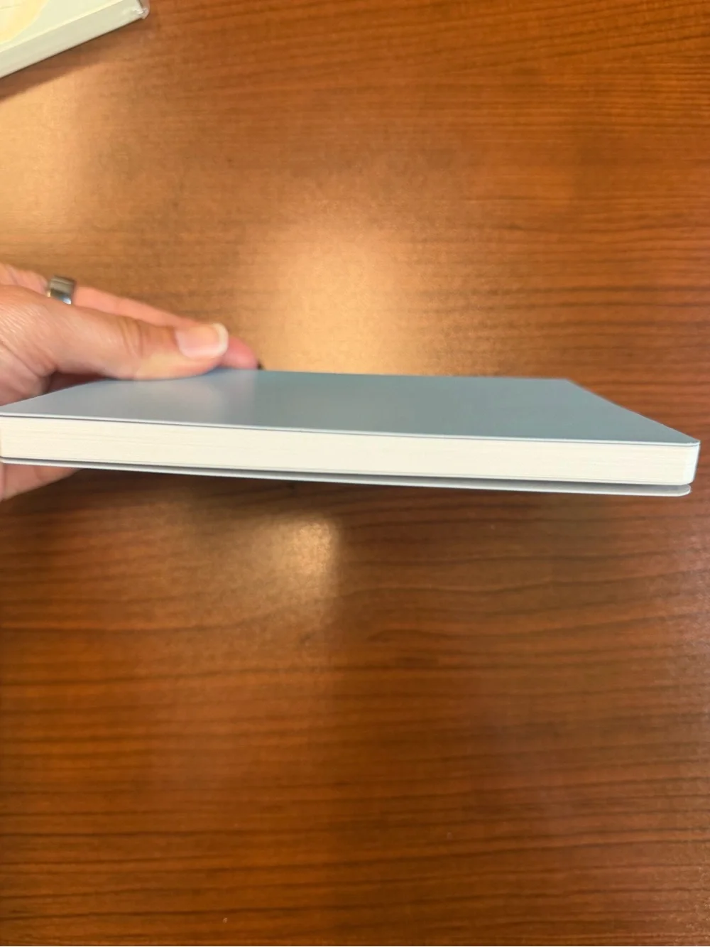 Light Blue Stalogy 1/2 year notebook A6